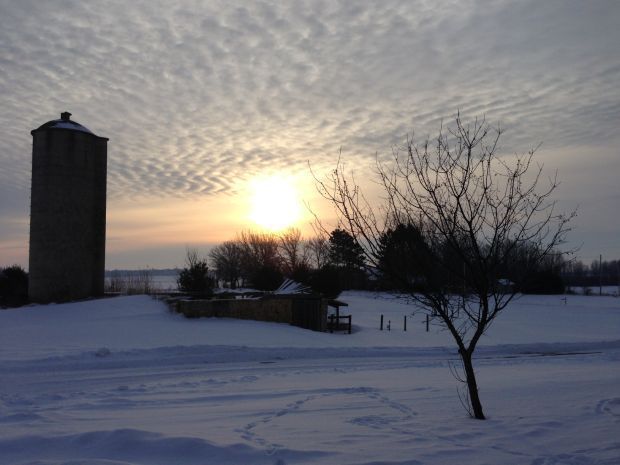 5. Take a photograph of your snowy backyard